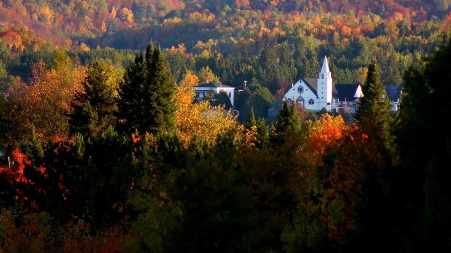 Your Cozy Cabin Retreat Saint-Remi-d'Amherst Esterno foto
